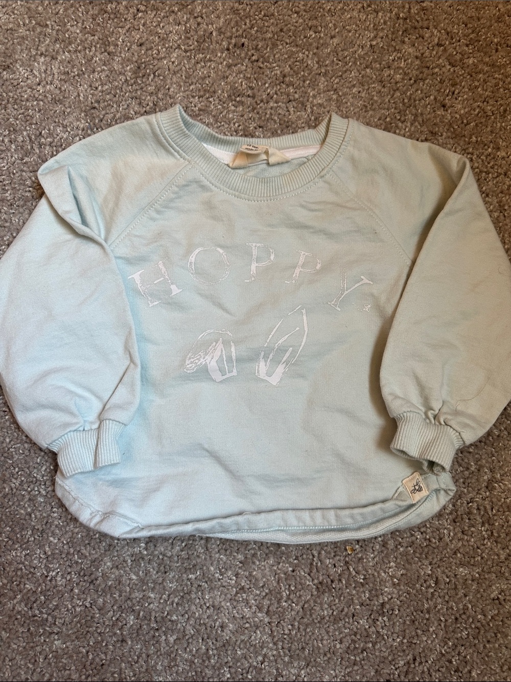 Burt’s bees Hoppy Bunny Graphic Sweatshirt - Light Mint